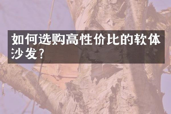 如何选购高性价比的软体沙发?
