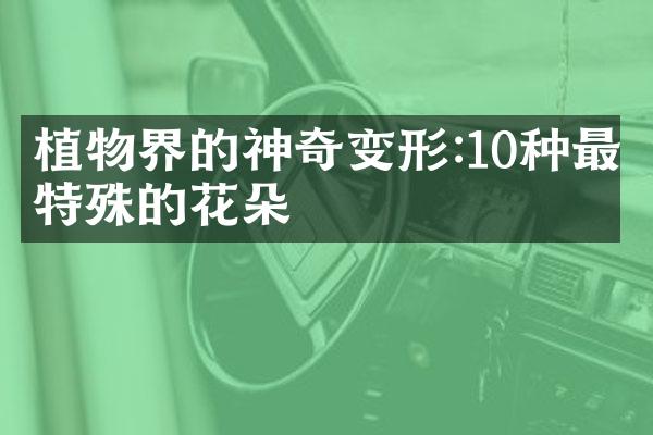 植物界的神奇变形:10种最特殊的花朵
