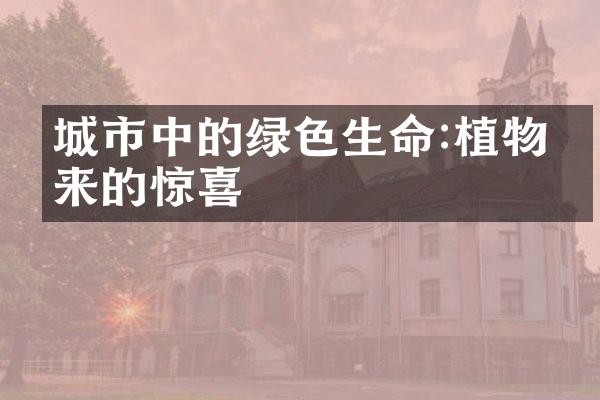 城市中的绿色生命:植物带来的惊喜