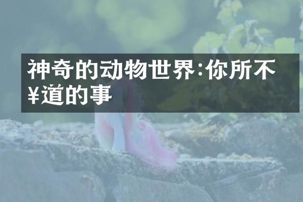 神奇的动物世界:你所不知道的事