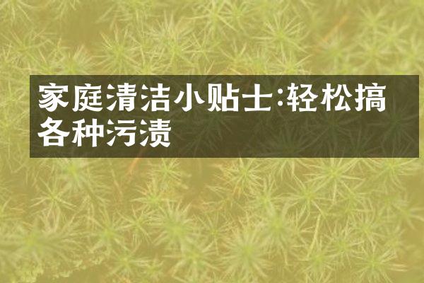 家庭清洁小贴士:轻松搞定各种污渍