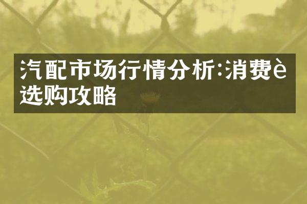 汽配市场行情分析:消费者选购攻略