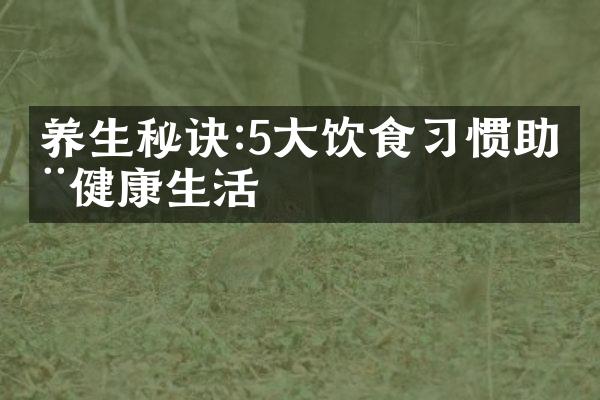 养生秘诀:5大饮食习惯助您健康生活