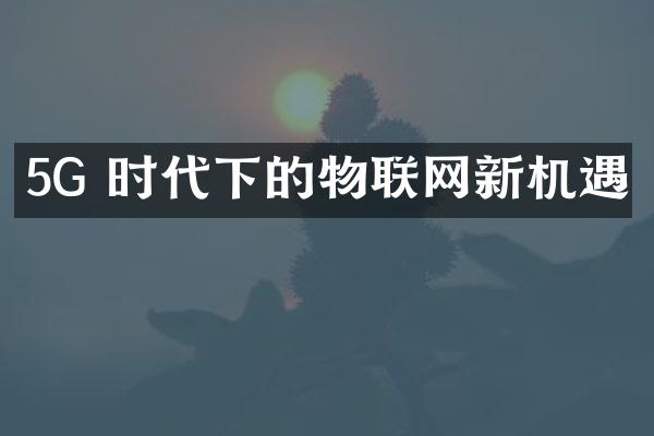 5G 时代下的物联网新机遇
