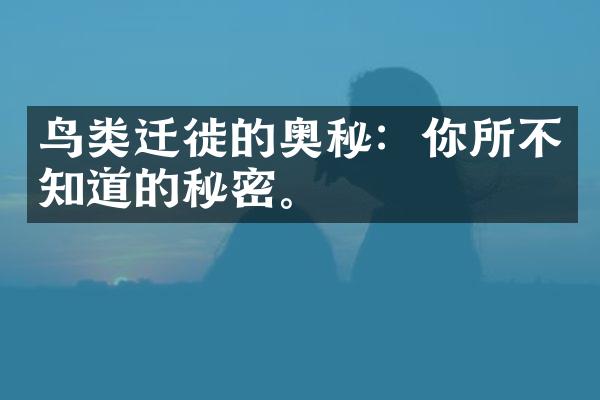 鸟类迁徙的奥秘：你所不知道的秘密。