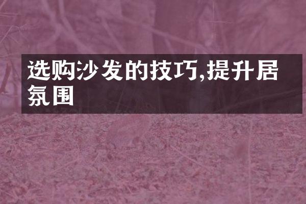 选购沙发的技巧,提升居家氛围