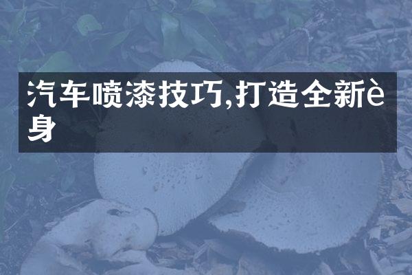 汽车喷漆技巧,打造全新车身