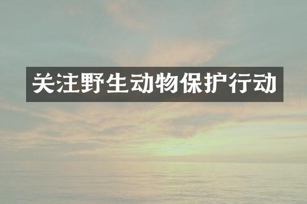 关注野生动物保护行动