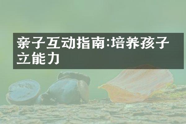亲子互动指南:培养孩子独立能力