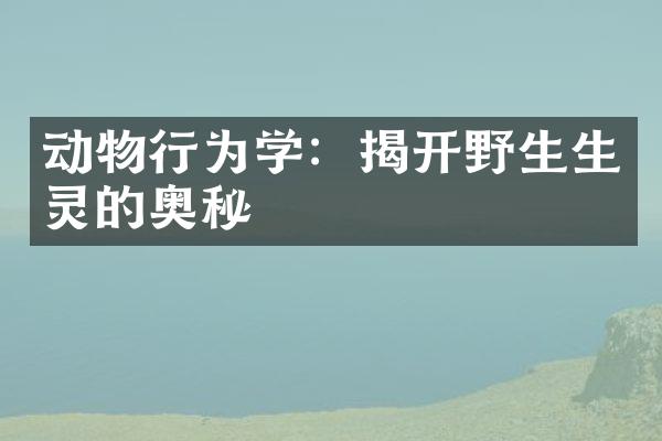 动物行为学：揭开野生生灵的奥秘