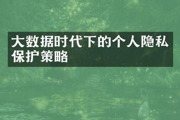 大数据时代下的个人隐私保护策略
