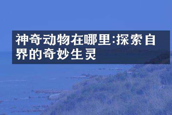 神奇动物在哪里:探索自然界的奇妙生灵