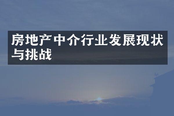 房地产中介行业发展现状与挑战