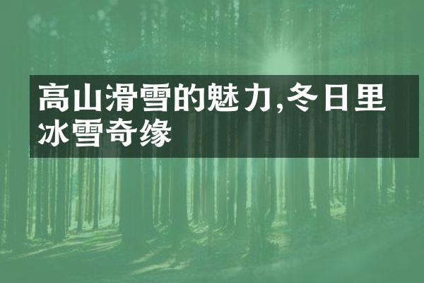 高山滑雪的魅力,冬日里的冰雪奇缘