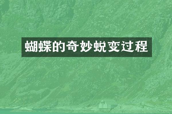 蝴蝶的奇妙蜕变过程