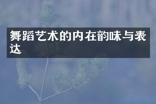 舞蹈艺术的内在韵味与表达
