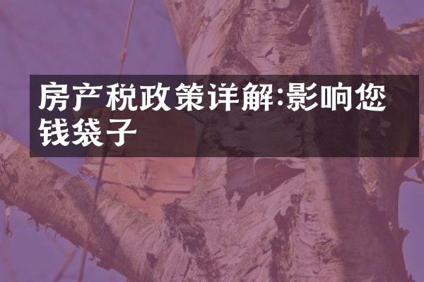 房产税政策详解:影响您的钱袋子