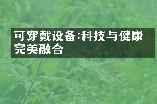 可穿戴设备:科技与健康的完美融合