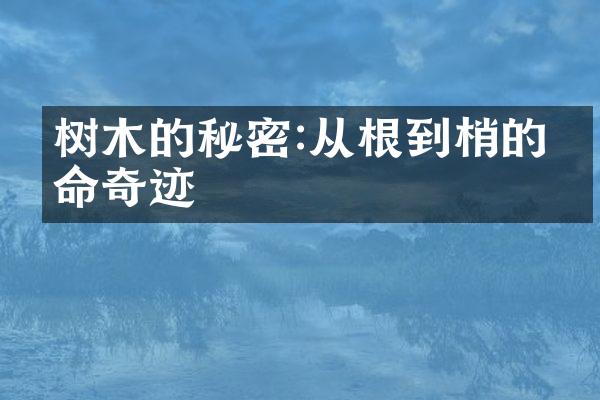 树木的秘密:从根到梢的生命奇迹