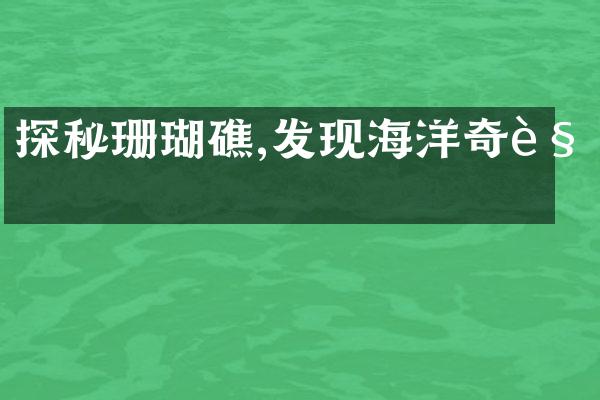 探秘珊瑚礁,发现海洋奇观