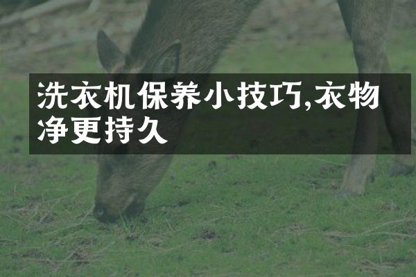 洗衣机保养小技巧,衣物洁净更持久