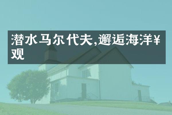 潜水马尔代夫,邂逅海洋奇观