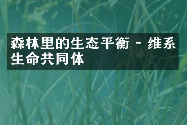 森林里的生态平衡 - 维系生命共同体