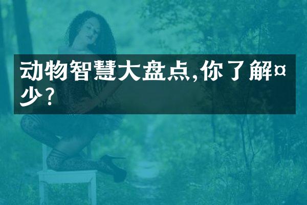 动物智慧大盘点,你了解多少?