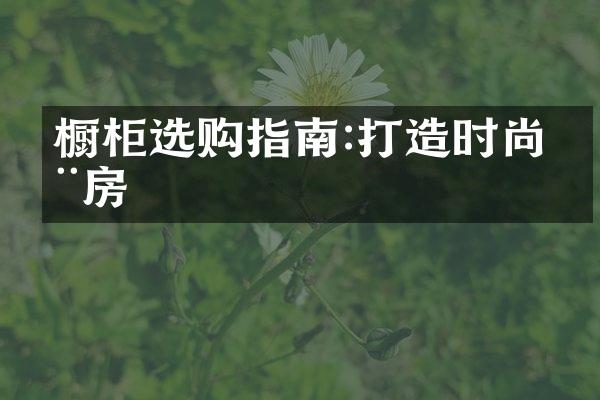 橱柜选购指南:打造时尚厨房