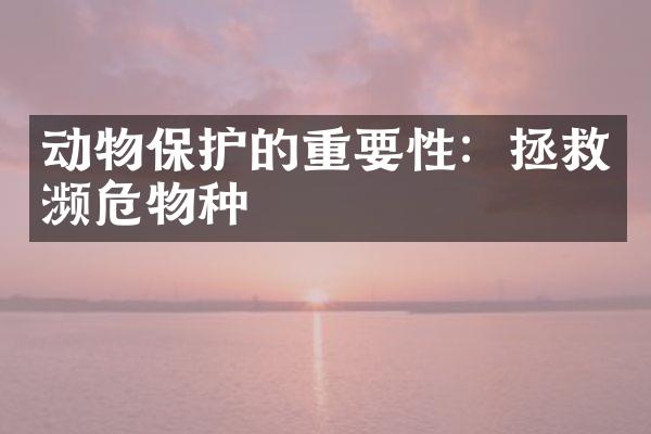 动物保护的重要性：拯救濒危物种