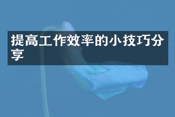 提高工作效率的小技巧分享