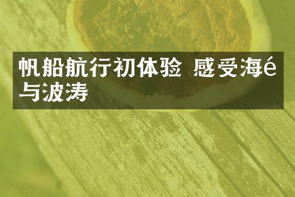 帆船航行初体验 感受海风与波涛