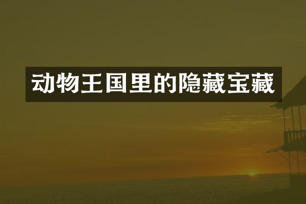 动物王国里的隐藏宝藏