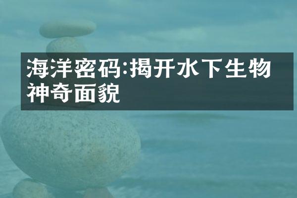 海洋密码:揭开水下生物的神奇面貌