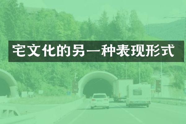 宅文化的另一种表现形式