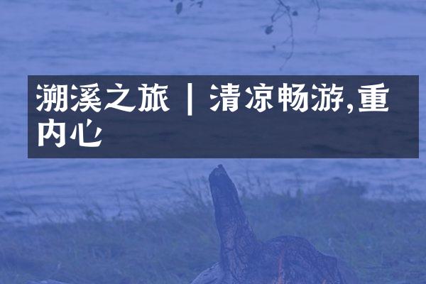 溯溪之旅 | 清凉畅游,重拾内心