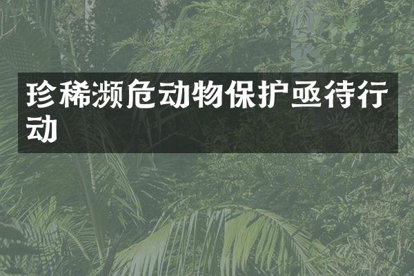 珍稀濒危动物保护亟待行动