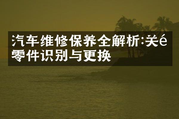 汽车维修保养全解析:关键零件识别与更换
