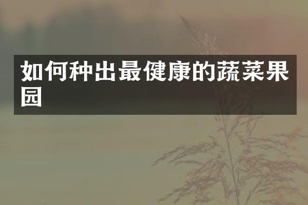 如何种出最健康的蔬菜果园