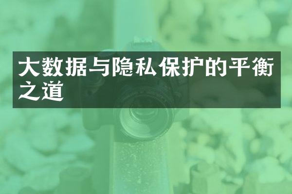 大数据与隐私保护的平衡之道