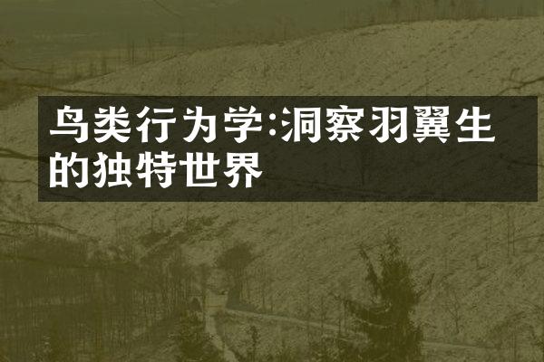 鸟类行为学:洞察羽翼生灵的独特世界
