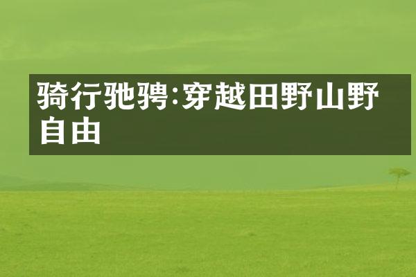 骑行驰骋:穿越田野山野的自由