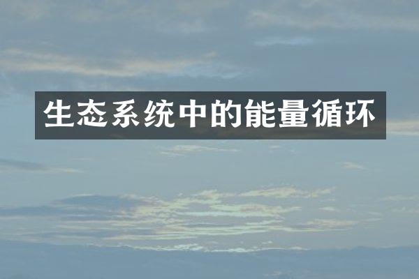 生态系统中的能量循环