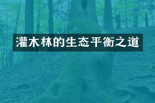 灌木林的生态平衡之道