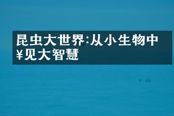 昆虫大世界:从小生物中窥见大智慧