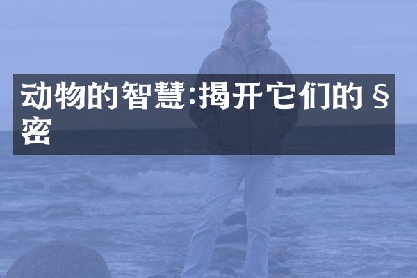 动物的智慧:揭开它们的秘密