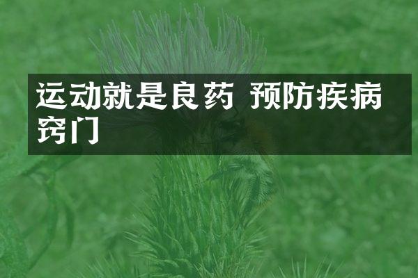 运动就是良药 预防疾病有窍门
