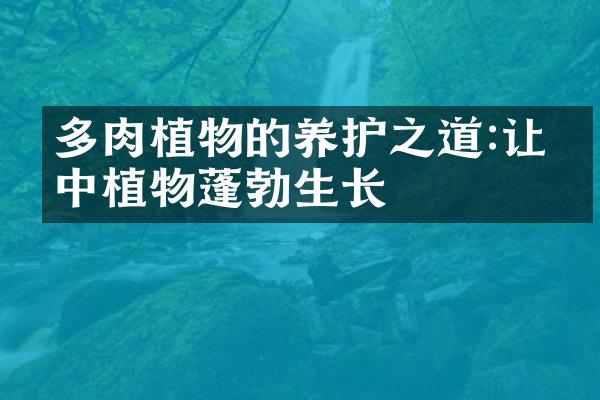 多肉植物的养护之道:让家中植物蓬勃生长
