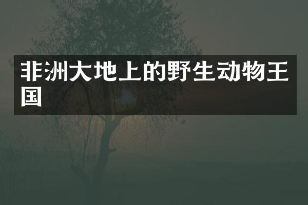 非洲大地上的野生动物王国