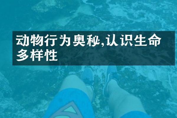 动物行为奥秘,认识生命的多样性